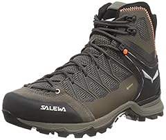 Salewa mountain trainer gebraucht kaufen  Wird an jeden Ort in Deutschland