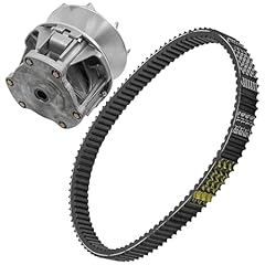 Caltric complete primary for sale  Delivered anywhere in USA 