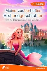 Silbenbuch klasse zauberhaften gebraucht kaufen  Wird an jeden Ort in Deutschland