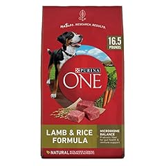 Purina one dry for sale  Delivered anywhere in USA 
