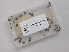 Live ladybirds natural for sale  Delivered anywhere in UK