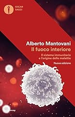 Fuoco interiore. sistema usato  Spedito ovunque in Italia 