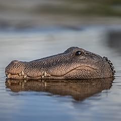 Woodside floating crocodile for sale  Delivered anywhere in UK