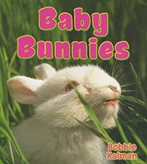 Baby bunnies for sale  Delivered anywhere in USA 