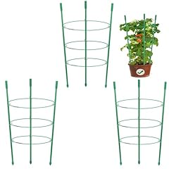 Pack small plant for sale  Delivered anywhere in UK