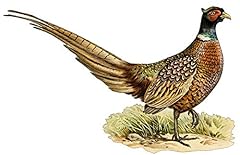 Lightningsigns pheasant countr for sale  Delivered anywhere in UK