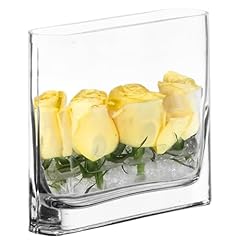 Cys excel glass for sale  Delivered anywhere in USA 