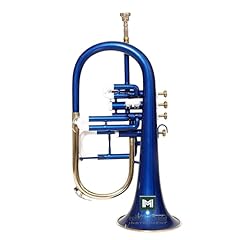 Strumento musicale indiano usato  Spedito ovunque in Italia 