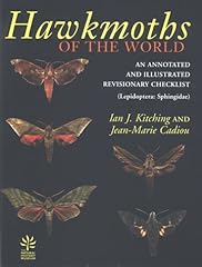 Hawkmoths annotated illustrate for sale  Delivered anywhere in UK