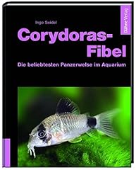 Corydoras fibel die d'occasion  Livré partout en Belgiqu