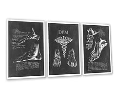 Gnosis picture archive for sale  Delivered anywhere in USA 