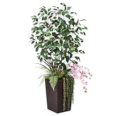 Verinatural artificial ficus for sale  Delivered anywhere in USA 