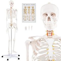 Costway 180cm life for sale  Delivered anywhere in UK