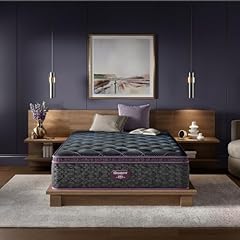 Beautyrest class level for sale  Delivered anywhere in USA 