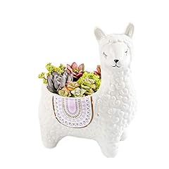 Jhnif cute alpaca for sale  Delivered anywhere in USA 