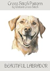 Beautiful labrador cross for sale  Delivered anywhere in UK