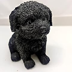 April selection shih for sale  Delivered anywhere in UK