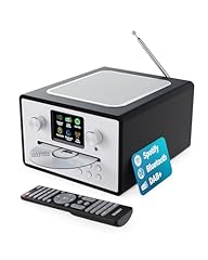 Internetradio player dab gebraucht kaufen  Wird an jeden Ort in Deutschland