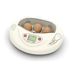 R-Com Mini Digital Automatic Duck Goose Chicken Egg for sale  Delivered anywhere in UK