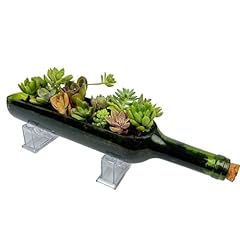 Donzikle wine bottle for sale  Delivered anywhere in USA 