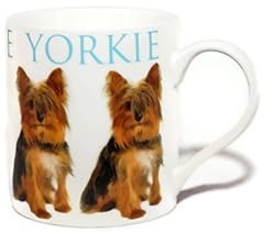 Lesser pavey yorkie for sale  Delivered anywhere in UK