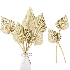 Sggvecsy boho dried for sale  Delivered anywhere in USA 