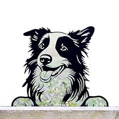 Peeking border collie for sale  Delivered anywhere in UK