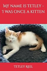 Name tetley kitten for sale  Delivered anywhere in UK