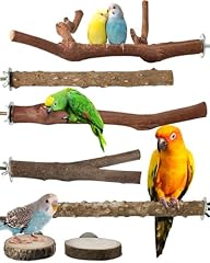 Bissap bird perch for sale  Delivered anywhere in USA 