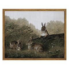 Insimsea framed wall for sale  Delivered anywhere in USA 