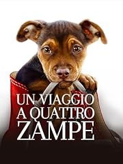 Viaggio quattro zampe usato  Spedito ovunque in Italia 
