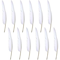 Banban 12pcs feather for sale  Delivered anywhere in Ireland