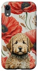 Iphone goldendoodle puppy for sale  Delivered anywhere in USA 