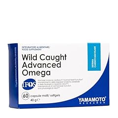 Yamamoto research wild usato  Spedito ovunque in Italia 