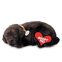 Perfect petzzz original for sale  Delivered anywhere in USA 