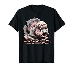 Angry flowerhorn cichlid for sale  Delivered anywhere in USA 
