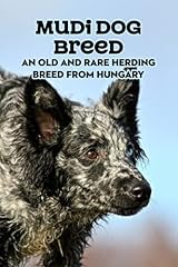 Mudi dog breed for sale  Delivered anywhere in UK