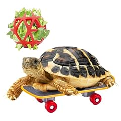 Doblopup turtle skateboard for sale  Delivered anywhere in USA 