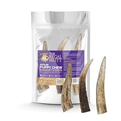 Regal mutt antler for sale  Delivered anywhere in UK