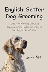 English setter dog for sale  Delivered anywhere in UK