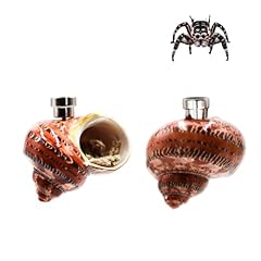 Jumping spider enclosure for sale  Delivered anywhere in USA 