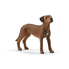 Schleich rhodesian ridgeback usato  Spedito ovunque in Italia 