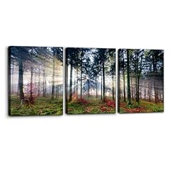 Pacimo pieces canvas for sale  Delivered anywhere in USA 