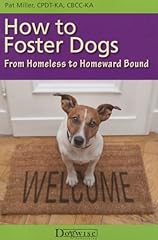 Foster dogs homeless for sale  Delivered anywhere in USA 