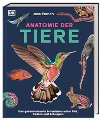 Anatomie tiere geheimnisvolle gebraucht kaufen  Wird an jeden Ort in Deutschland