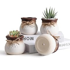T4u succulent pots for sale  Delivered anywhere in USA 