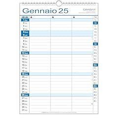 Calendario 2025 famiglia usato  Spedito ovunque in Italia 