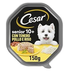 Cesar senior cibo usato  Spedito ovunque in Italia 