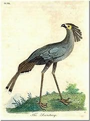 Vintage bird art for sale  Delivered anywhere in USA 
