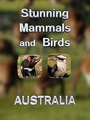 Stunning mammals birds for sale  Delivered anywhere in UK